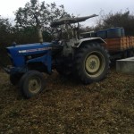 Récolte et traitement du manioc