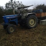 Récolte et traitement du manioc