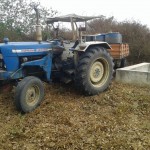 Récolte et traitement du manioc