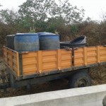 Récolte et traitement du manioc