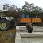 Réparation des bassins en béton pour rouir les maniocs