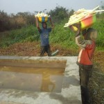 Récolte et traitement du manioc