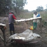 Récolte et traitement du manioc