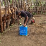 Traitement du gros bétail