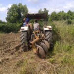 Labour pour planter du manioc et du maïs