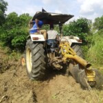 Labour pour planter du manioc et du maïs