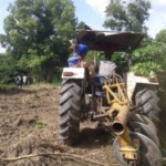 Labour pour planter du manioc et du maïs