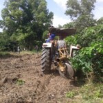 Labour pour planter du manioc et du maïs