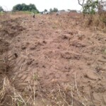 Labour pour planter du manioc et du maïs