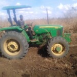 Labour pour planter du manioc et du maïs