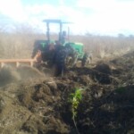 Labour pour planter du manioc et du maïs