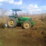 Labour pour planter du manioc et du maïs