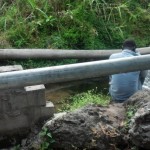 Travaux et élevage à la ferme