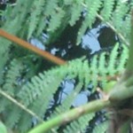 Travaux et élevage à la ferme