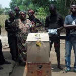 Travaux et élevage à la ferme