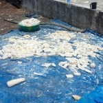 Travaux et élevage à la ferme