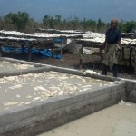 Travaux et élevage à la ferme