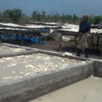 Travaux et élevage à la ferme