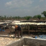 Travaux et élevage à la ferme