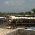 Travaux et élevage à la ferme