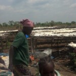 Travaux et élevage à la ferme