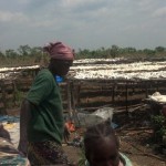 Travaux et élevage à la ferme