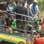 Construction métallique du lit du pont