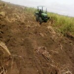 Labour pour planter du manioc et du maïs