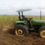 Labour pour planter du manioc et du maïs