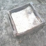 Traitement du gros bétail