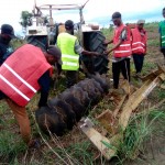 Travaux de l'agriculture