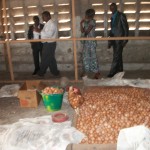 Poulailler et élevage des poules