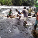 Début de la construction