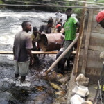 Emplacement d'un pilier