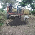 Plantation des légumes au plateau de Bateke