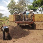 Plantation des légumes au plateau de Bateke