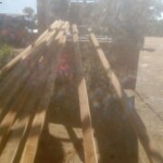 Matériel de construction de l'école primaire à Kimbulu (suite)