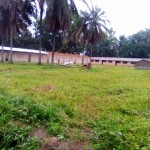 Travaux de construction de l'ecole primaire a Kimbulu