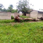 Travaux de construction de l'ecole primaire a Kimbulu