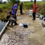 Travaux de réparation du pont de Shamwana (Kimbulu)