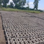 Construction de mur de la clôture de la concession du cpfo à kinkole