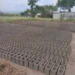 Construction de mur de la clôture de la concession du cpfo à kinkole