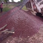 Construction de mur de la clôture de la concession du cpfo à kinkole