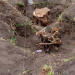 Construction de mur de la clôture de la concession du cpfo à kinkole