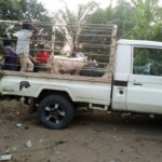 Porcherie Kinkole 2023