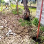 Clôture à Kinkole 2023