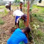 Clôture à Kinkole 2023