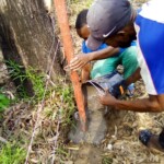 Clôture à Kinkole 2023