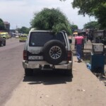 Plantation de la haie à Kinkole 2023