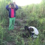 Verger au plateau de Bateke